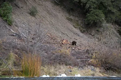 DSC_0199 (Large).JPG